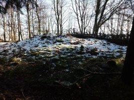 Praalata trikuharria 2