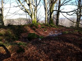 Balankaleku Hegoa trikuharria 2