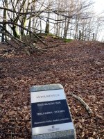 Balankaleku Hegoa trikuharria (2018)