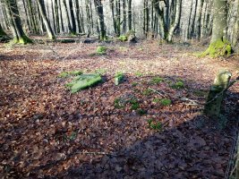 Muñaan trikuharria 2