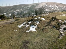 Alabitarte tumuloa 4