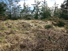 Marikutx I tumuloa 2