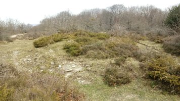 Untza II tumuloa (2018)