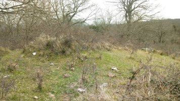 Larriluzea II tumuloa 2