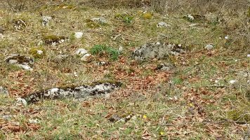 Las Esperas trikuharria 4