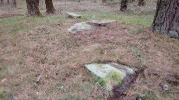 Ama Birjiñen Baso trikuharria 5