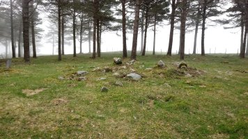 Iturzurigaña trikuharria 4