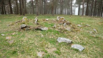 Iturzurigaña trikuharria 2