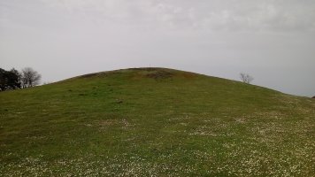 Oamendi (886) tontorra