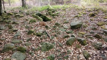 Maitzegur trikuharria 2