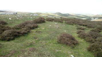 Elordi eraztun-tumuloa 1