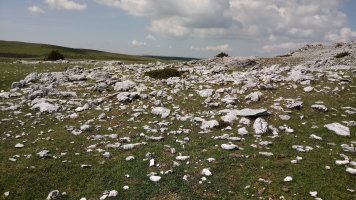 Aitzuri trikuharria 3