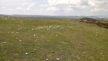 Eskalaborro tumuloa (2018)