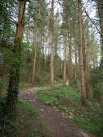 Ibilbideko pasarte bat Akorda eta Atxarre artean