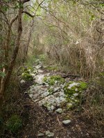 Maruara igotzen den bidezidorra