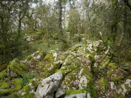 Maruako tontorrera iristen