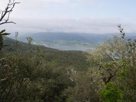 Maruako tontorretik Urdaibairen ikuspegia