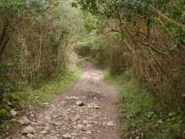 Atxarrera igotzen den bidea