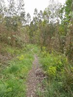 Atxarretik Gametxorantz jeisten