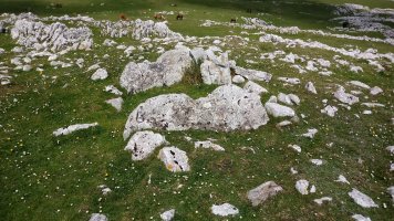 Kalparmunobarrena trikuharria (2018)