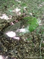 Arregi Erdikoa trikuharria 2