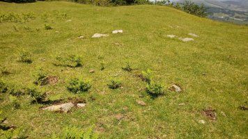 Adiko Soroa harrespila 4