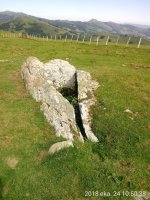 Pilotasoro trikuharria 3