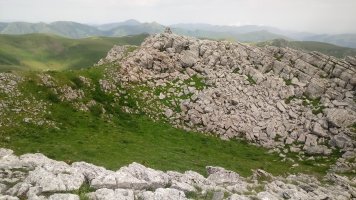 Urkulugibela, tontorra