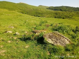 Azpegi II Ek. trikuharria (2018)