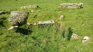 Azpegi I M. trikuharria 3