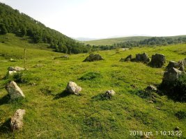 Azpegiko Lepoa harrespilak 5