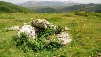 Soroluxe trikuharria 3