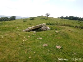 Soroluxe trikuharria (2018)