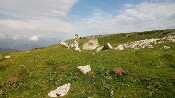 Uelogoena I Ip. trikuharria 3