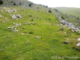 Uelogoena I harrespila 2