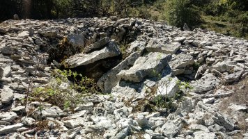 Armorkora Txikia trikuharria 3