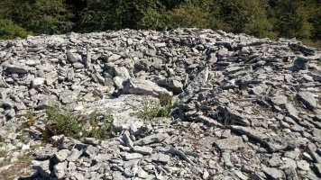 Armorkora Haundi trikuharria 4