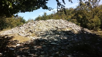 Arteko Saroa trikuharria 2