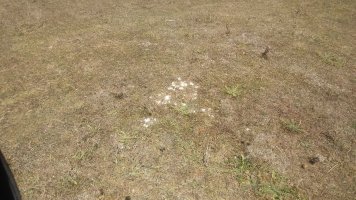 Corral de Celestino tumuloa 2