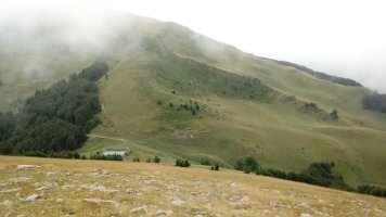 Larrondoa-Keleta lepoa