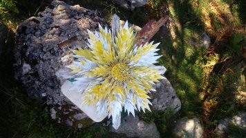 Arbarain (1118m) tontorra, norantza lorea