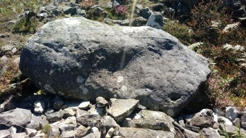 Arrobigaña trikuharria 3