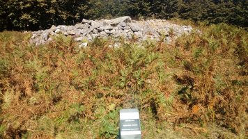 Arrobigaña trikuharria (2018)