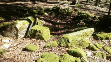 Aginaran Txulo trikuharria 4