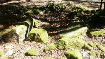 Aginaran Txulo trikuharria 3