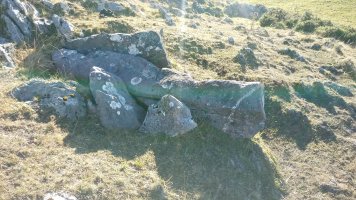 Belarzinketa zutarria 2