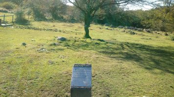 Kosabel (Odieta) tumuloa (2018)