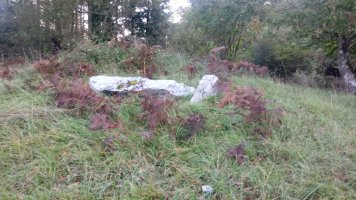 Urritza trikuharria 5