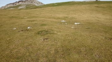 Olamuño Hegoa harrespila (2018)