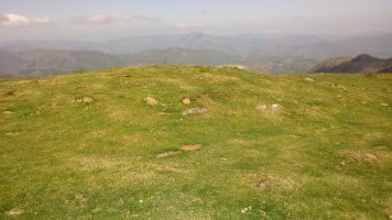 Pikuda Hego harrespila (2019)